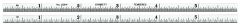 STARRETT 610N-6 Spring-Tempered Steel Rules with Inch Graduations (610N-6)