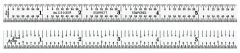 STARRETT C303SR-6 Semi-Flexible Steel Rule with Inch Graduations (C303SR-6)