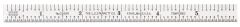 STARRETT C306R-6 Steel Rule with Inch Graduation (C306R-6)